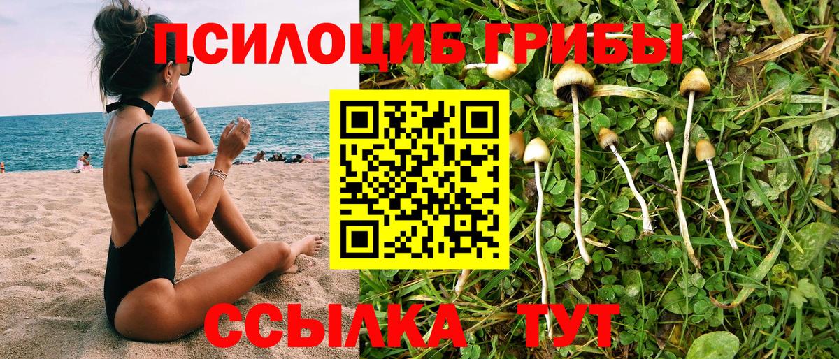 Асбест  Псилоцибиновые грибы Psilocybe  Галлюциногенные грибы MAGIC MUSHROOMS  Вход с VPN 